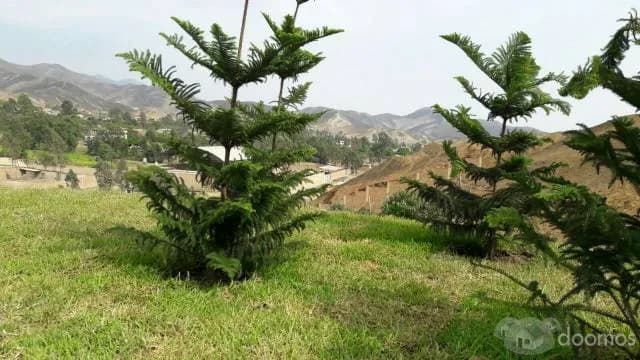 TERRENOS PACHACAMAC — foto 4