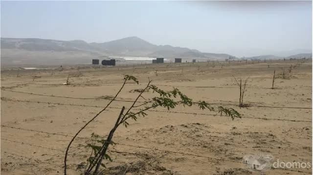 Oportunidad Venta de terreno en Chilca — foto 5
