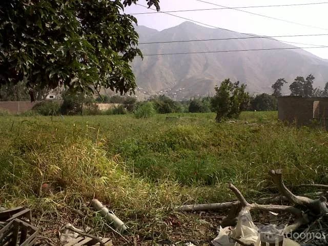 Terrenos Pachacamac limite Cieneguilla 2000m2 a $60m2 — foto 1