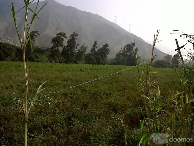 Terrenos Pachacamac limite Cieneguilla 2000m2 a $60m2 — foto 2