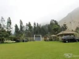 ALQUILER DE JARDIN EN LA MOLINA, HUACHIPA Y CIENEGUILLA PARA EVENTOS