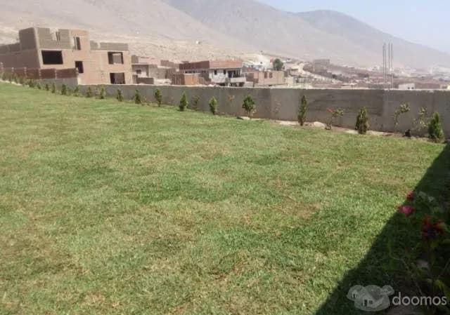 Lotes de 120 m2 Distrito  La Molina — foto 4