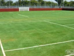 Grass Artificial Futbol e Infantil Olympic