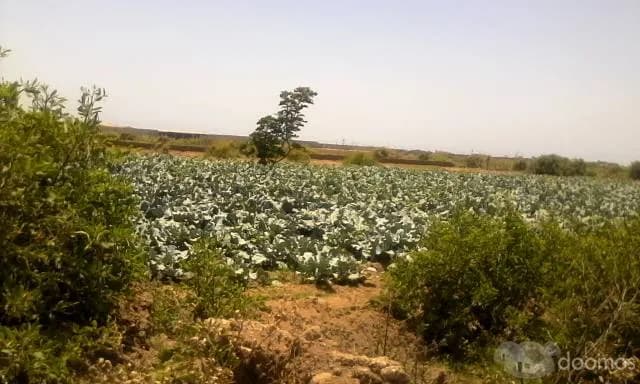 REMATO EN MOCHE 8,850 M2. Reg/.SUNARP, TRUJILLO — foto 1