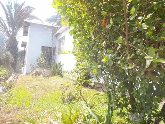 SE VENDE CASA A PRECIO DE TERRENO EN CHOSICA — foto 4