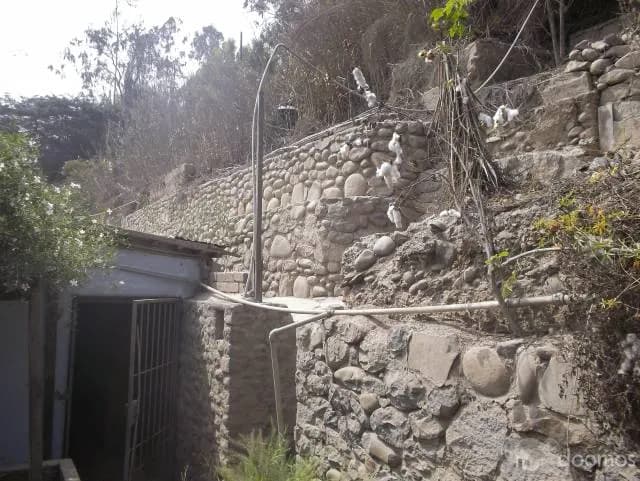 SE VENDE CASA A PRECIO DE TERRENO EN CHOSICA — foto 5