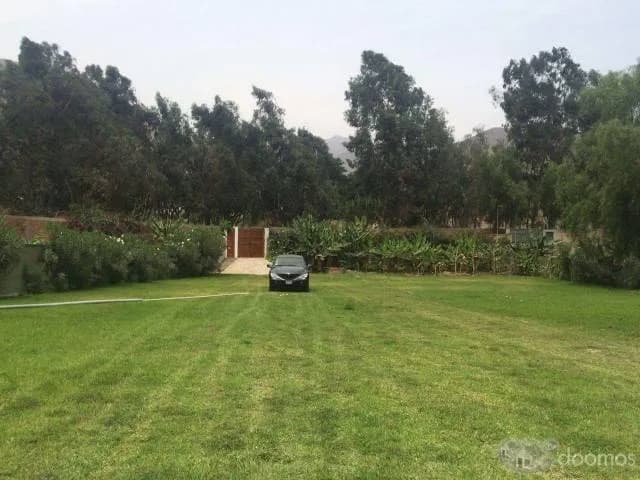 JARDINES DE CIENEGUILLA — foto 1