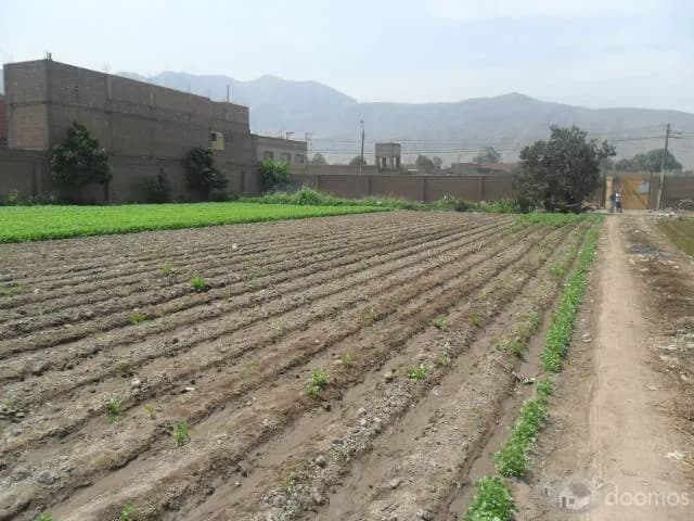 Terreno Santa Clara — foto 2