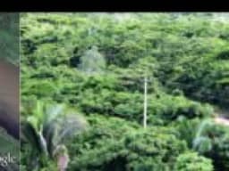 Amazon Eva -Proyecto Selva