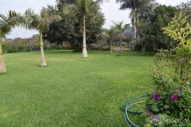 Alquiler de jardines para eventos en Pachacamac — foto 2