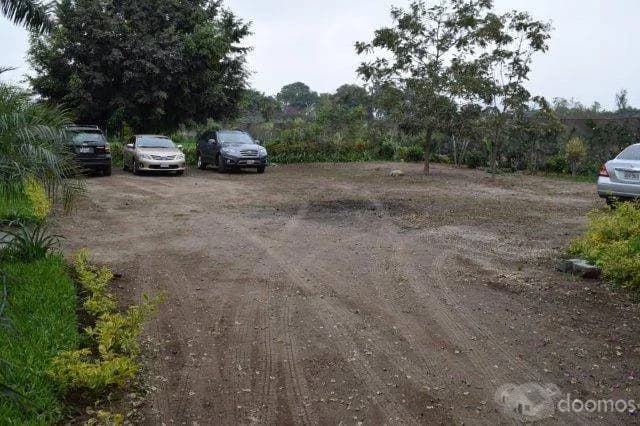 Alquiler de jardines para eventos en Pachacamac — foto 5