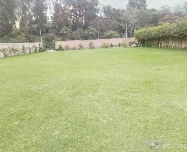 Alquiler de jardín para eventos — foto 3