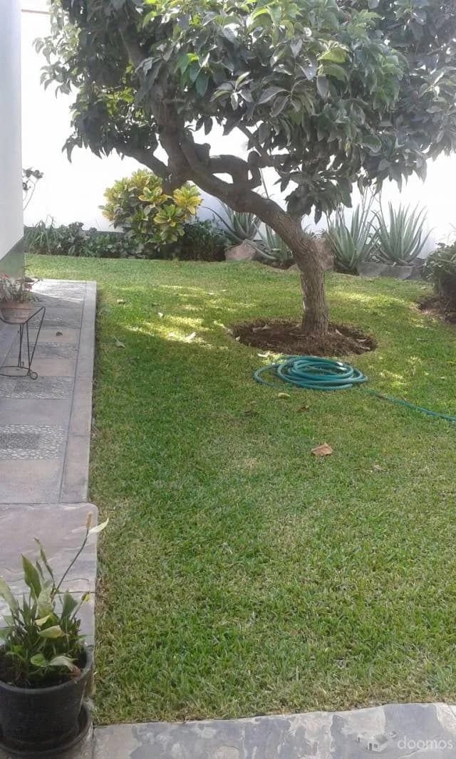 Casa Venta la Molina , Camacho — foto 4