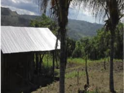 VENTA, 6 Hectáreas IDEAL PARA RETIROS DE CAMPO con 2.5 Hect. DE CACAO