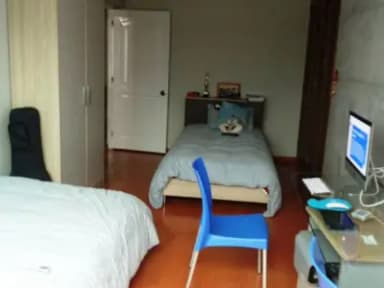 Miniatura 10