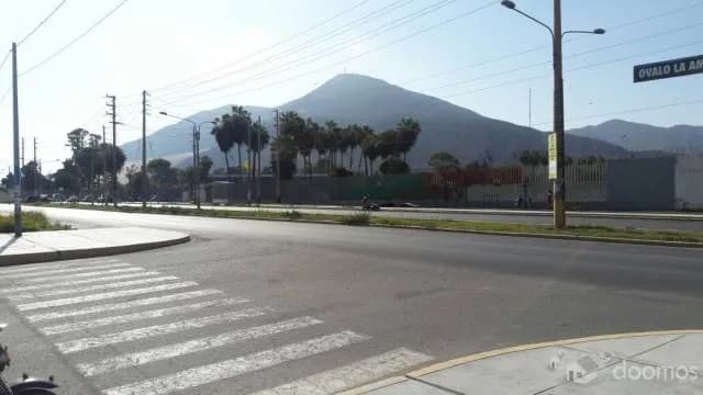 TERRENO 210mts AV.INDUSTRIAL CHIMBOTE FRENTE A SIDERPERU — foto 4