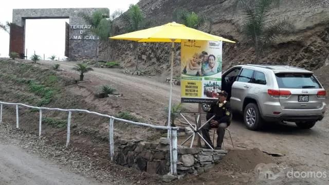 LOTES PACHACAMAC - TERRAZAS DE AMANCAES — foto 1