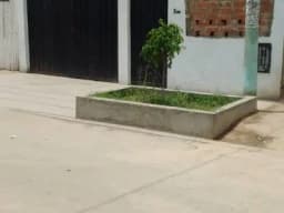 OCASION VENDO CASA EN CARABAYLLO ASOC. LAS CASUARINAS  I ETAPA