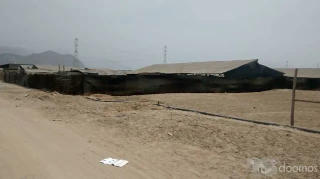VENTA DE TERRENO INDUSTRIAL — foto 5