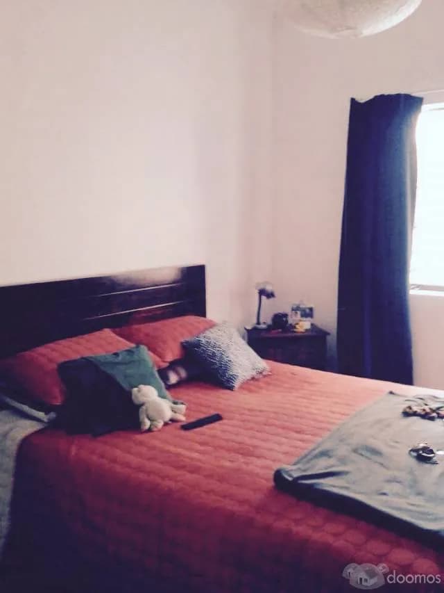 busco roomate para compartir departamento — foto 4