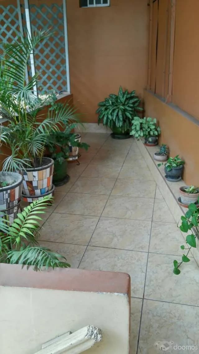 ALQUILER HABITACION AMOBLADA SOLO PARA DAMAS EN LINCE — foto 4