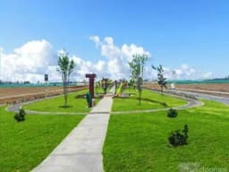 VENDO LOTE EN CHILCA 90M2
