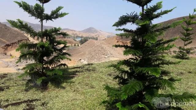 CONDOMINIO EXCLUSIVO PARA CASAS DE CAMPO — foto 3