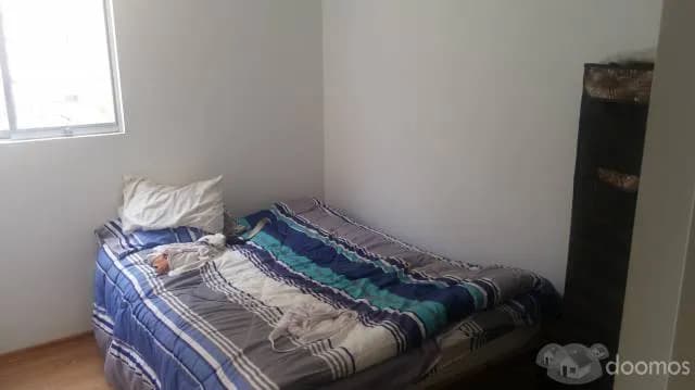 ALQUILER DE DEPARTAMENTO AMOBLADO — foto 4