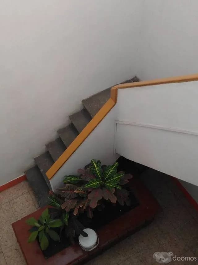ALQUILO CASA PARA OFICINA EN MAGDALENA — foto 2