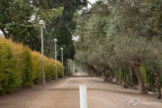 VENDO LOTE EN CONDOMINIO DE PANAMERICANA SUR — foto 1