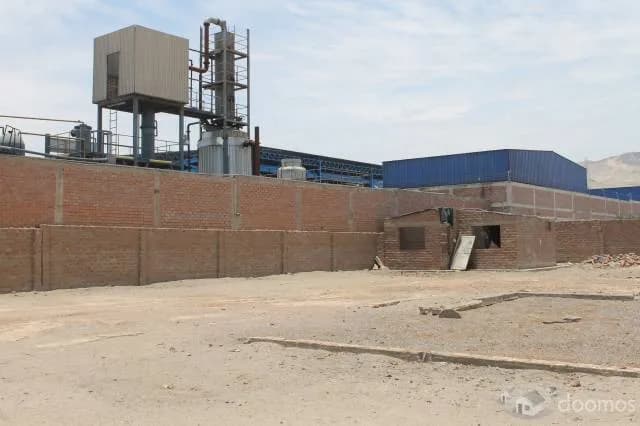 OCASION ALQUILO / VENDO TERRENO DE 10000 MT2 EN CHILCA — foto 2