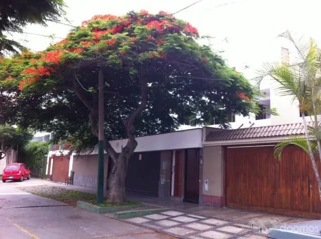 OCASIÓN VENDO DPTO EN SURCO — foto 1