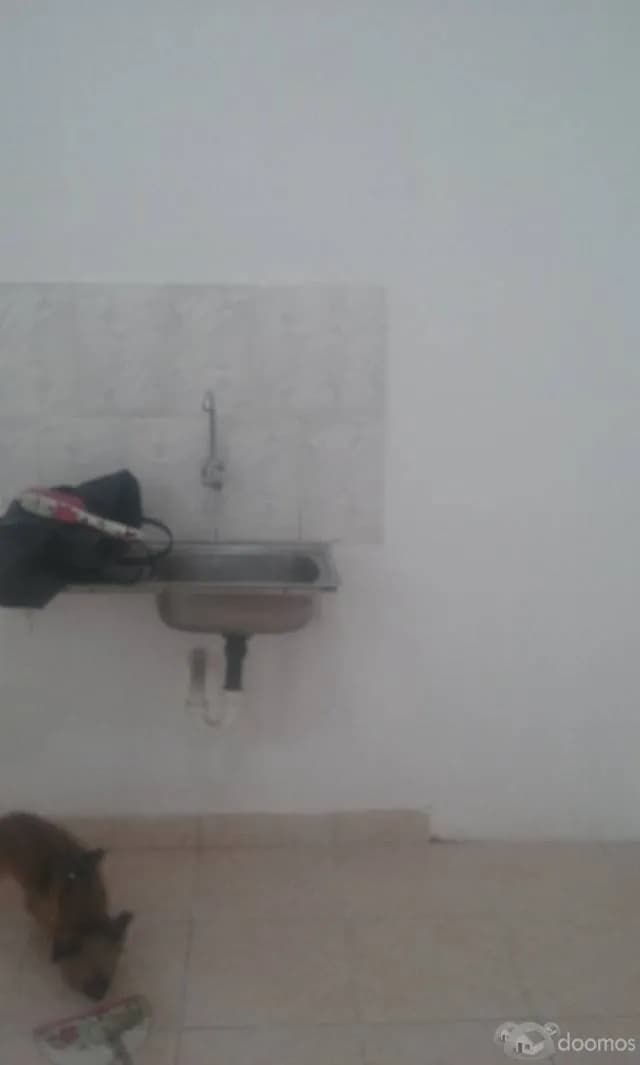 Alquiler de Minidepartamento — foto 2