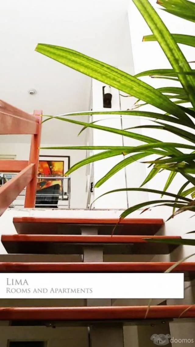 Habitación en Salamanca de Monterrico — foto 1