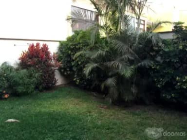 Miniatura 9