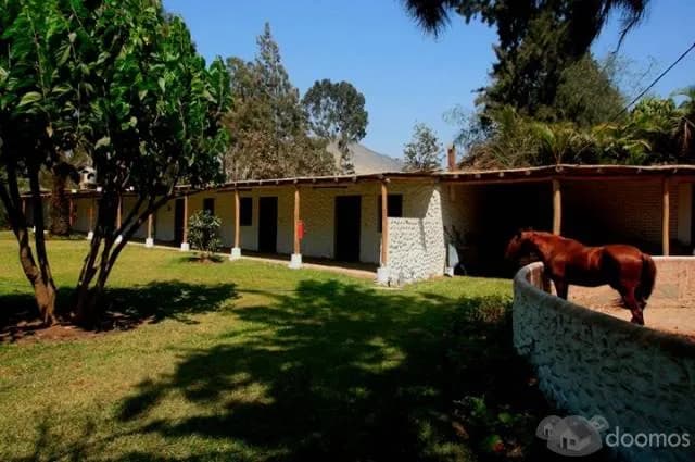 SE ALQUILA CASA DE CAMPO EN CIENEGUILLA — foto 7