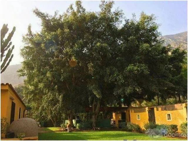 ALQUILER CASA DE CAMPO EN CIENEGUILLA — foto 3