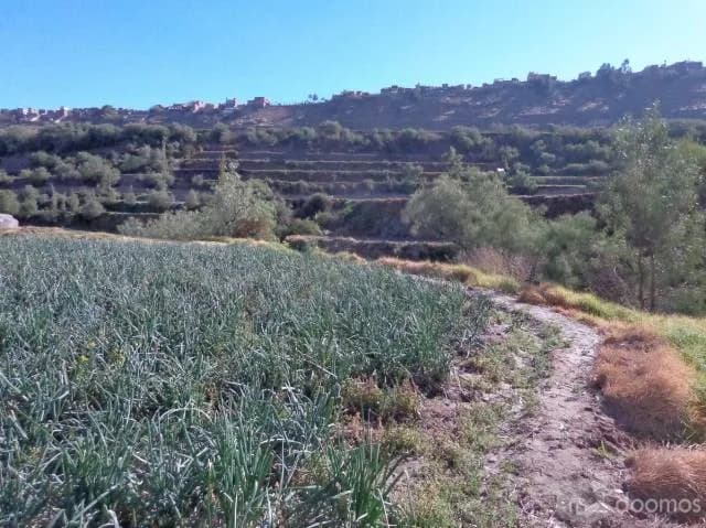 OCASIÓN VENDO TERRENO VALLE DE CHILINA 66000 dólares — foto 6
