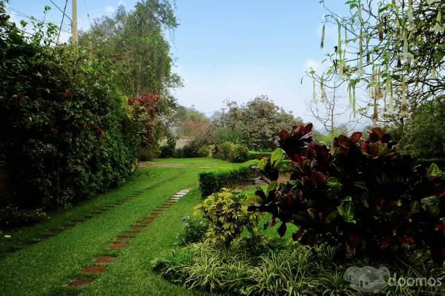 PACHA INDAH, casa campestre ubicada en el distrito de Pachacámac — foto 5