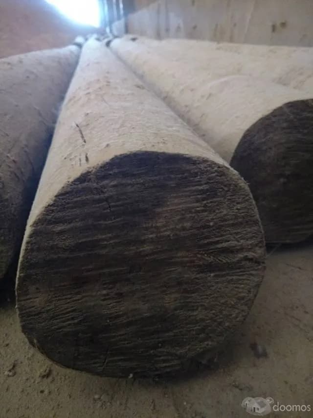 SE VENDE TRONCOS PINO VERDE TRATADO- IMPORTADO — foto 2
