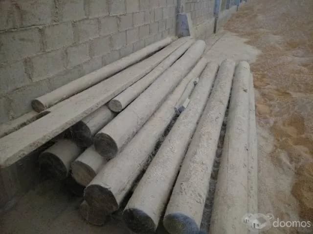 SE VENDE TRONCOS PINO VERDE TRATADO- IMPORTADO — foto 3