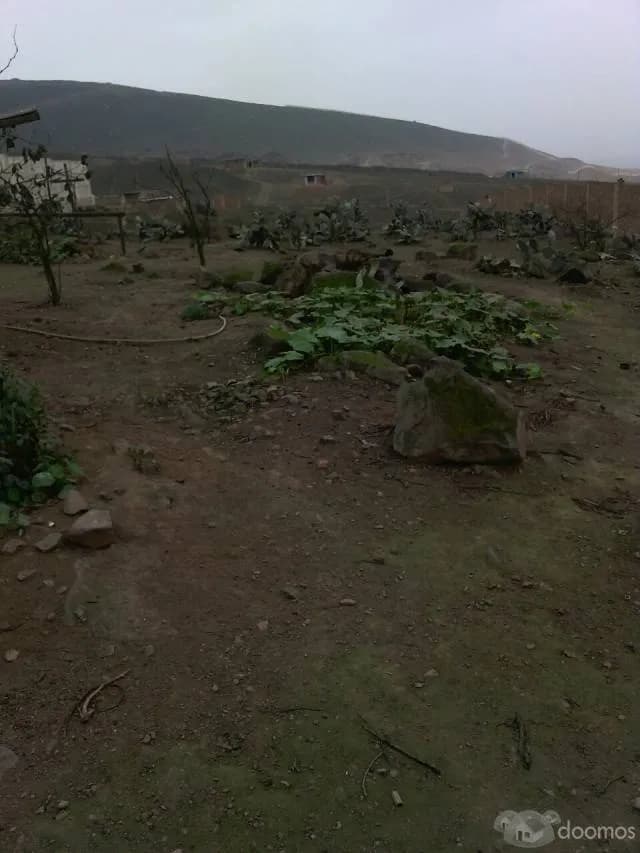 Venta de terreno — foto 6
