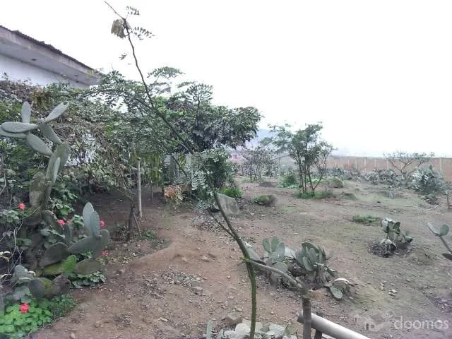 Venta de terreno — foto 7