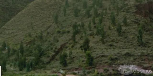 VENDO TERRENO EN CUSCO  SITRITO SAYLLA — foto 1