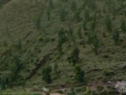 VENDO TERRENO EN CUSCO  SITRITO SAYLLA