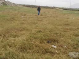 terreno de 250, 500 y 1250 m2