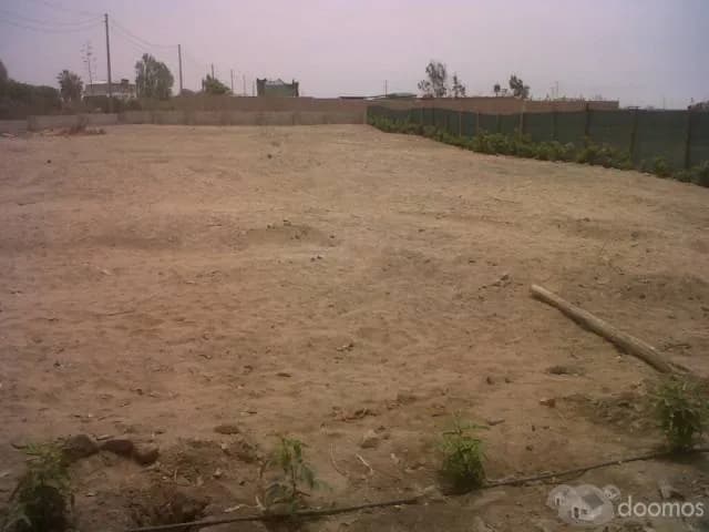 TERRENO ALQUILO 9,000 M2 ZONA INDUSTRIAL IDEAL ALMACEN — foto 2