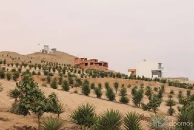 CONDOMINIOS MAR Y BOSQUES — foto 5