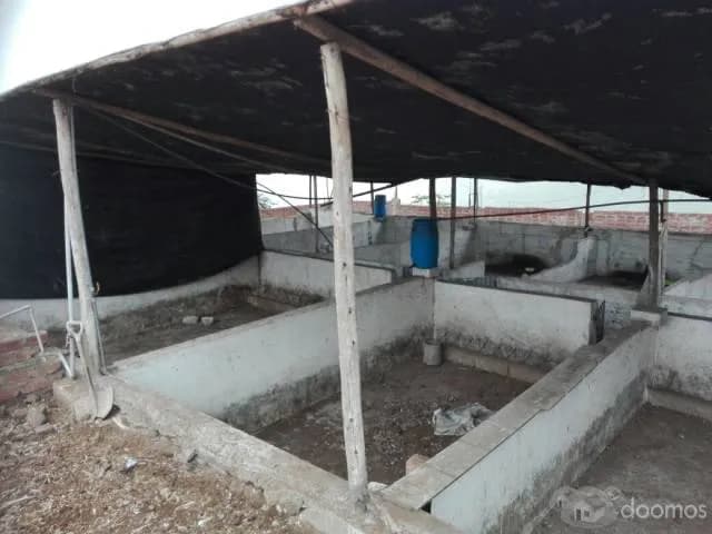 OCASION: Vendo terreno — foto 8
