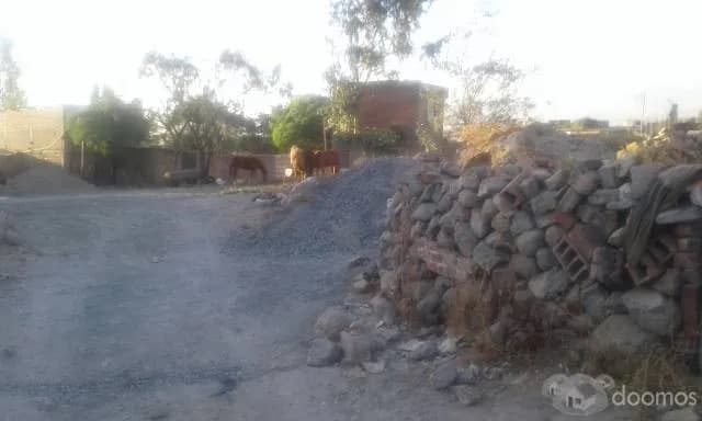 Se remata terreno en los Angeles de Characato — foto 3